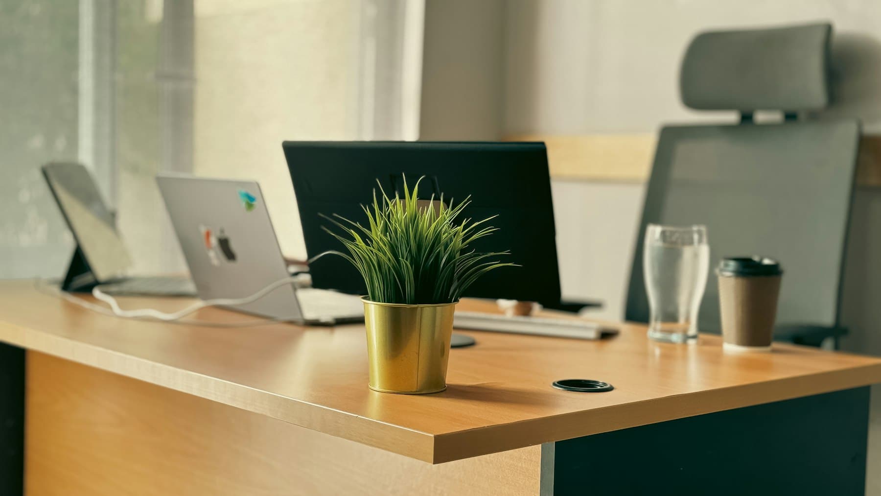 A tidy desk with a laptop, a monitor and a potted plant by the window